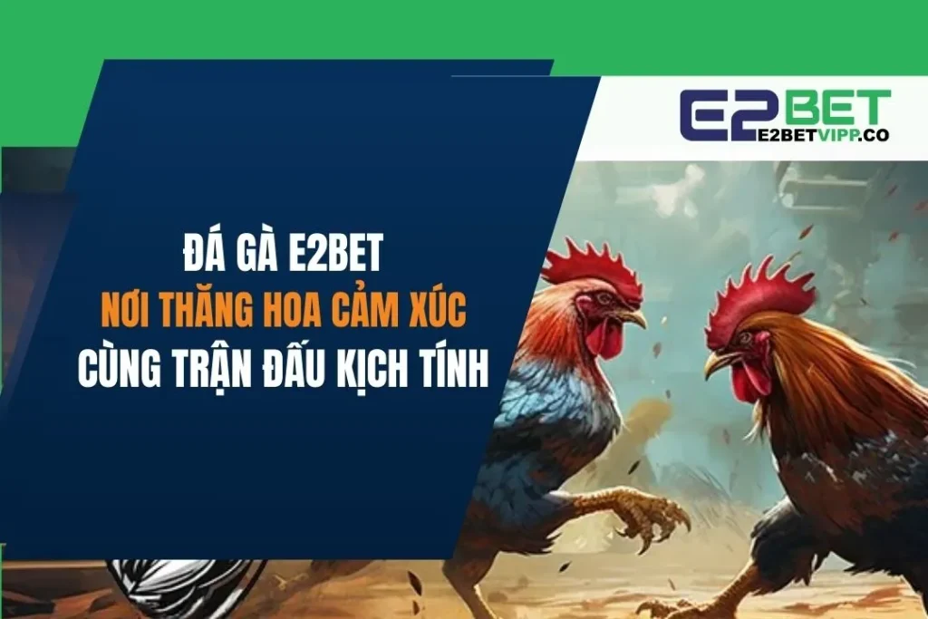 Đá gà E2bet