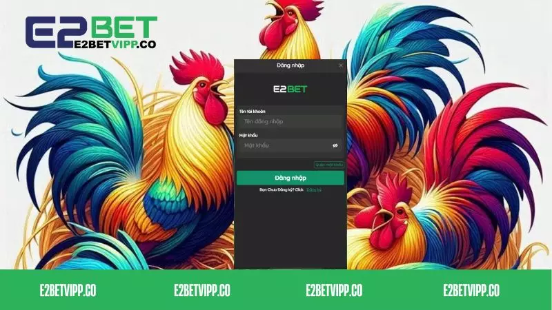 Một số lưu ý quan trọng trong quá trình đăng nhập E2bet